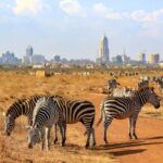 Why You Should Invest in Nairobi