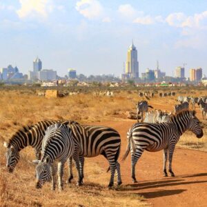 Read more about the article Why You Should Invest in Nairobi